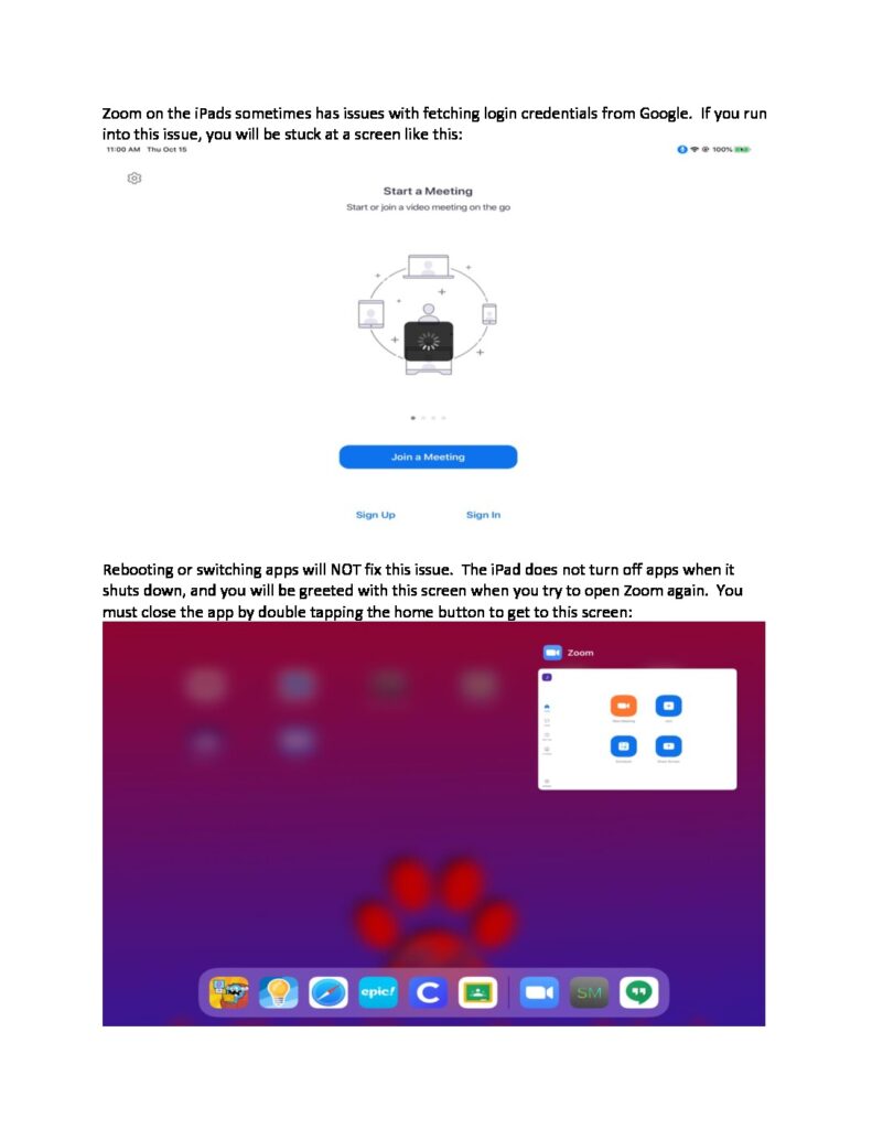 thumbnail of ZoomIPadFix